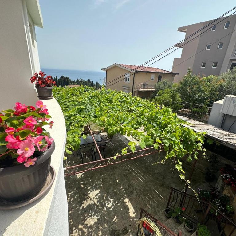 Adriatic Sea View Rooms - Standardna Trokrevetna Soba - 7
