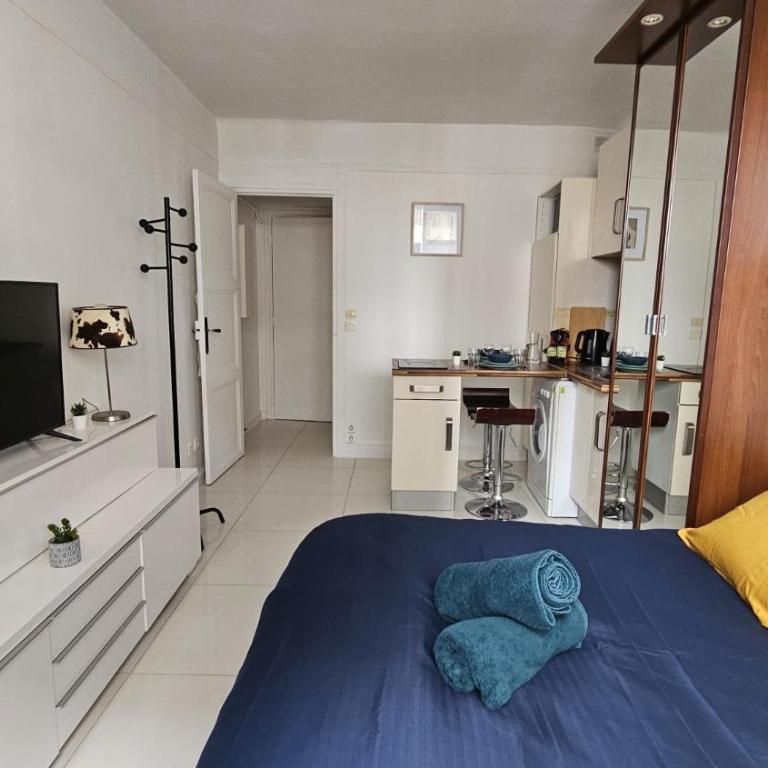 Studio très joli rénové quartier Notre-Dame Jardin des Plantes Panthéon près de la Seine - Appartement 1 Chambre - 21