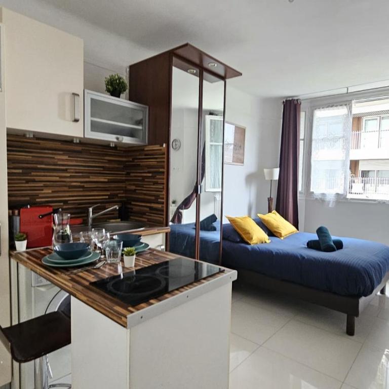 Studio très joli rénové quartier Notre-Dame Jardin des Plantes Panthéon près de la Seine - Appartement 1 Chambre - 14