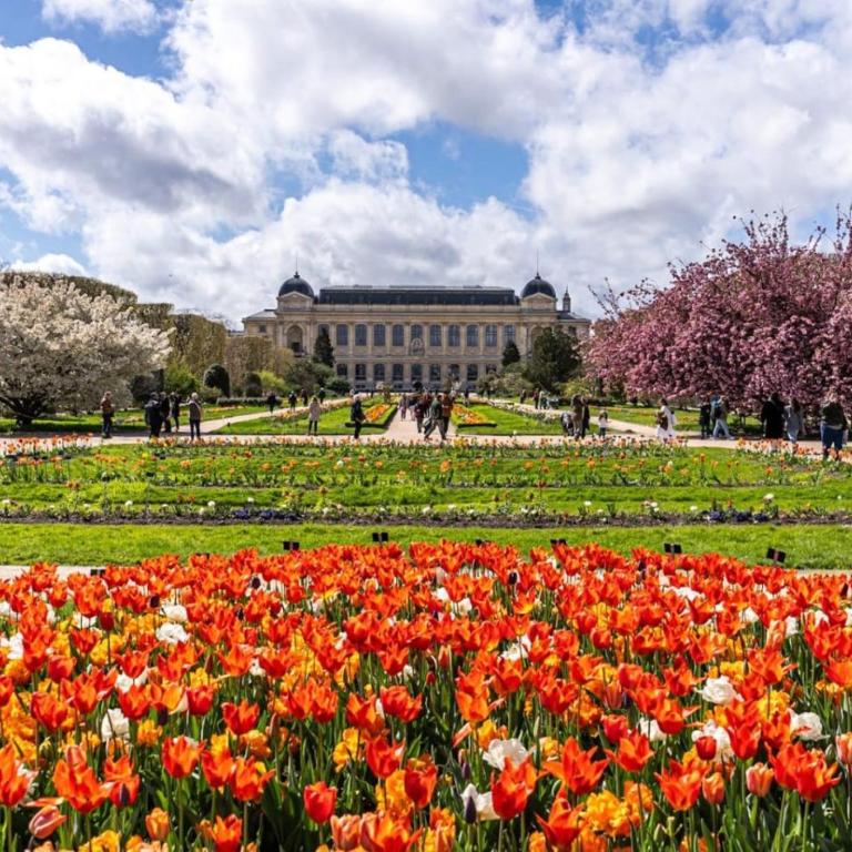 Studio très joli rénové quartier Notre-Dame Jardin des Plantes Panthéon près de la Seine - Appartement 1 Chambre - 10