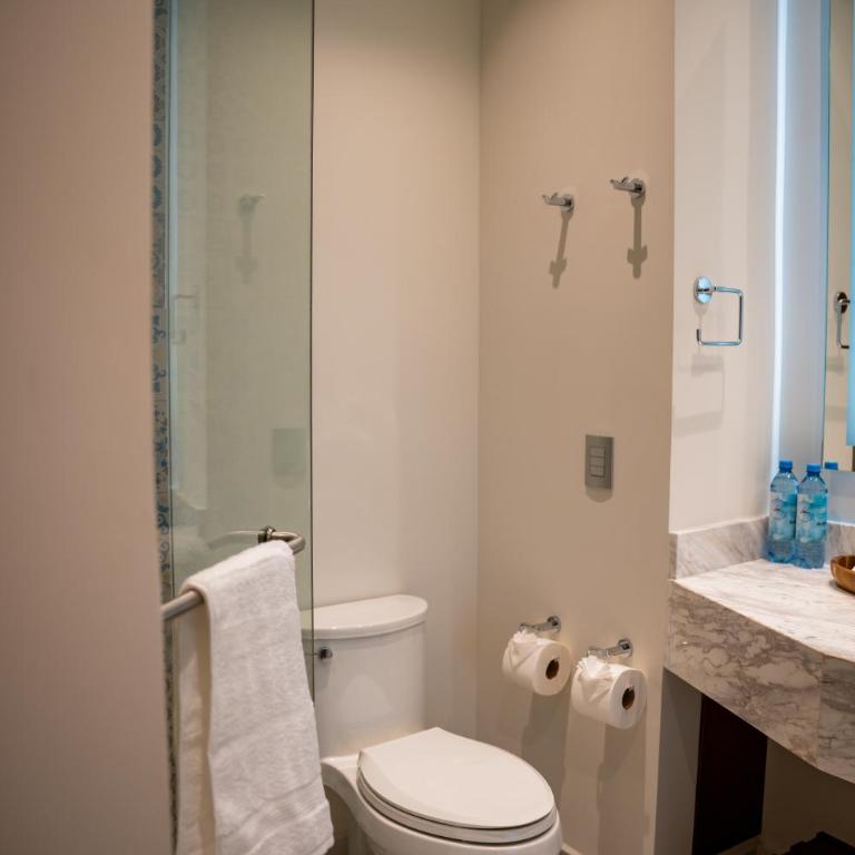 Vallarta Live Hotel - Deluxe Double Room - 1