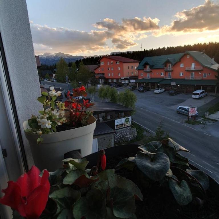 VIP Durmitor - Apartment with Mountain View - 33