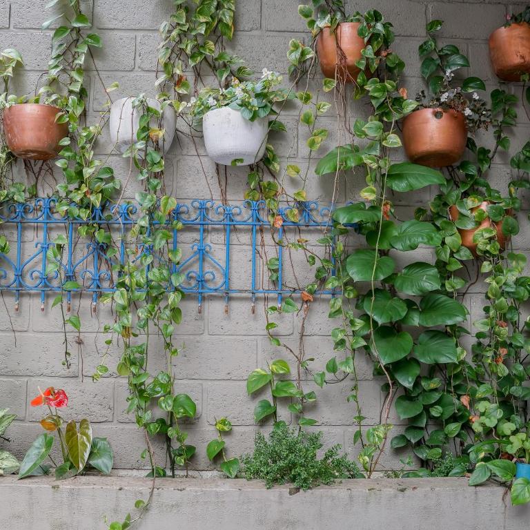 CoLiving Laureles Habitaciones con Baño Privado - Double Room with Private Bathroom - 30