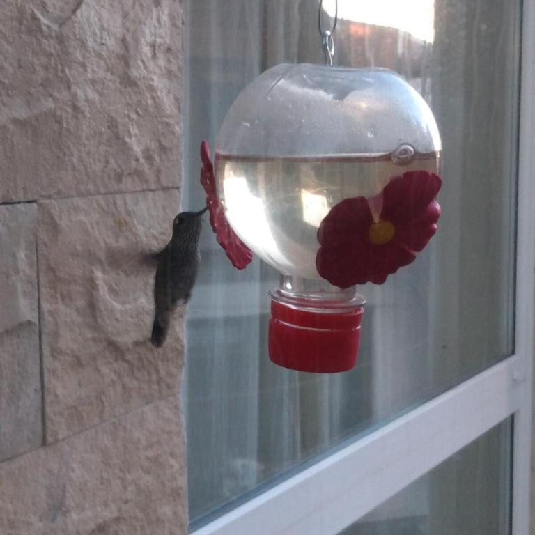 Piso Luminoso y cálido en Bariloche - Apartamento de 2 dormitorios - 3