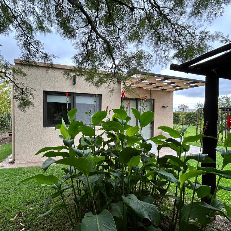 Loft Los Cerezos en VISTALBA, zona de viñedos y bodegas - Habitación Triple Estándar - 4