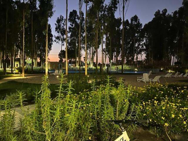 Refugio Alto Mirasol - Apartamento de 3 dormitorios - 20