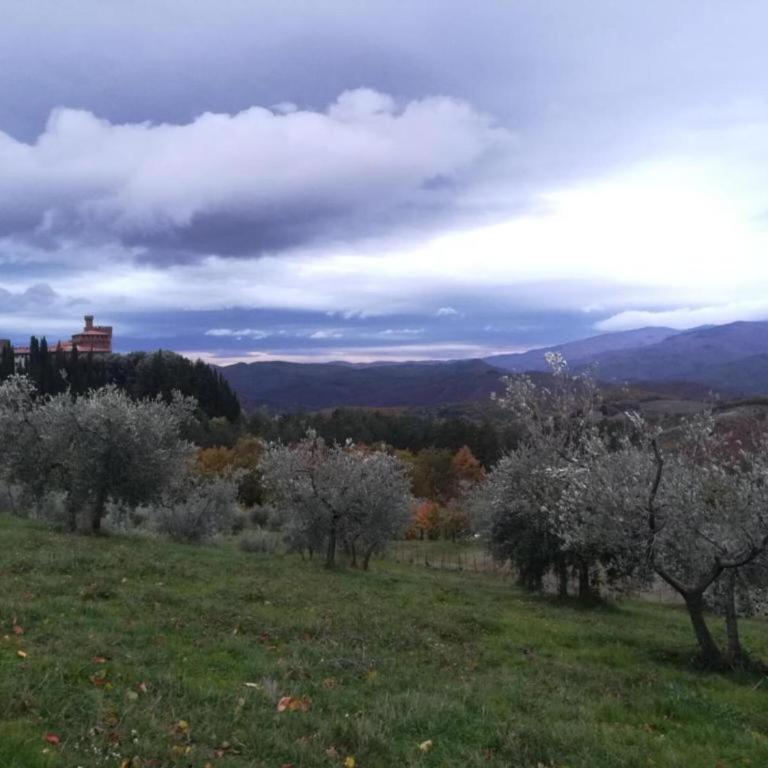 Beautiful Farmhouse with Pool - Casa Vacanze con 1 Camera da Letto - 35