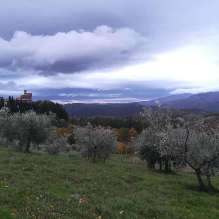 Farmhouse in Arezzo, Elba - Casa Vacanze con 2 Camere da Letto - 27