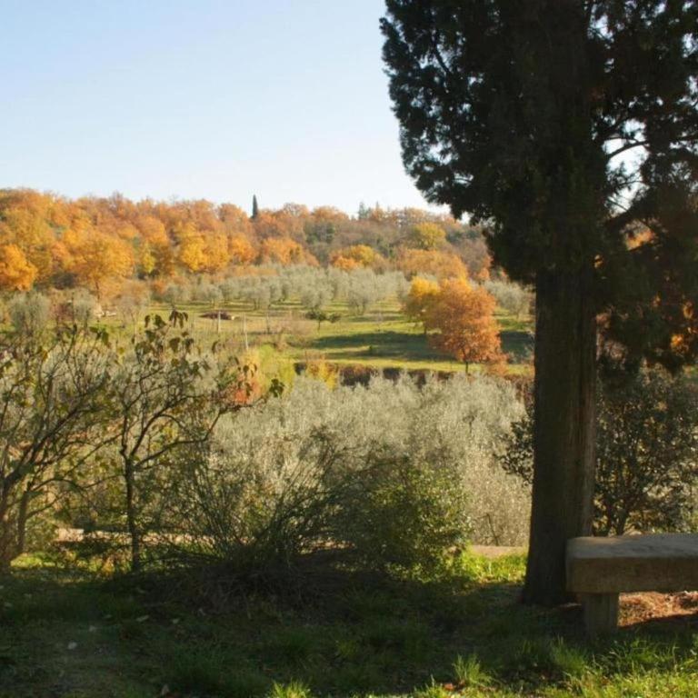 Cozy Farmhouse with Pool - Casa Vacanze con 1 Camera da Letto - 38