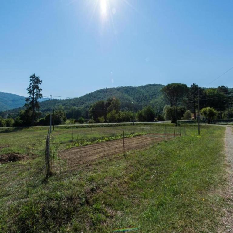 Cozy Farmhouse with Pool - Casa Vacanze con 1 Camera da Letto - 37