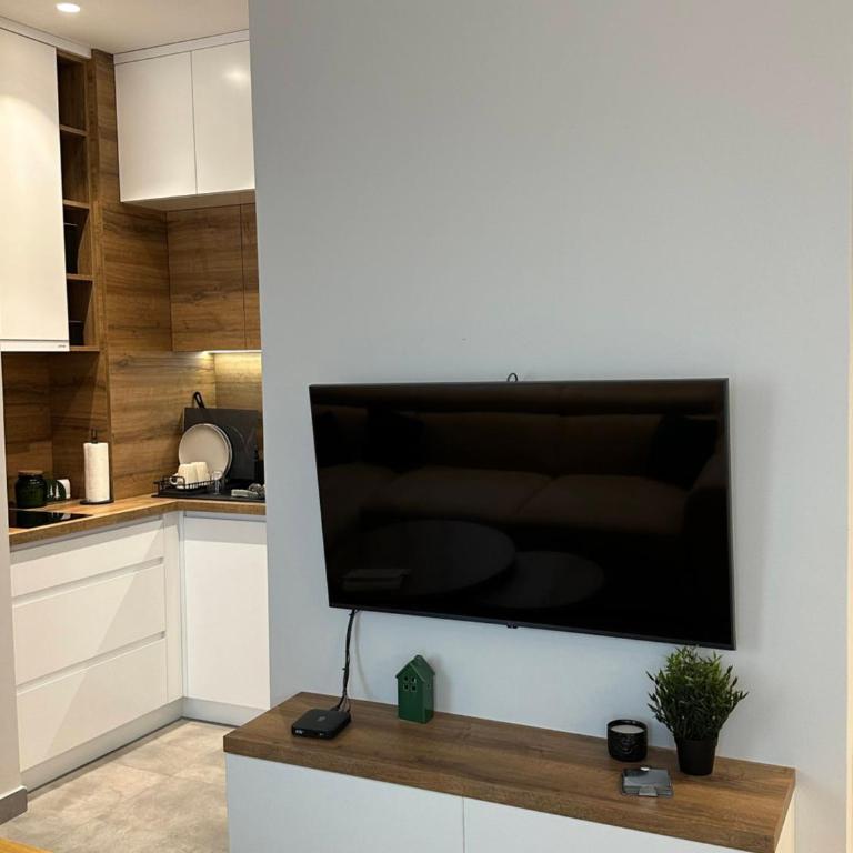 Aurum Lux Zlatibor - One-Bedroom Apartment - 2