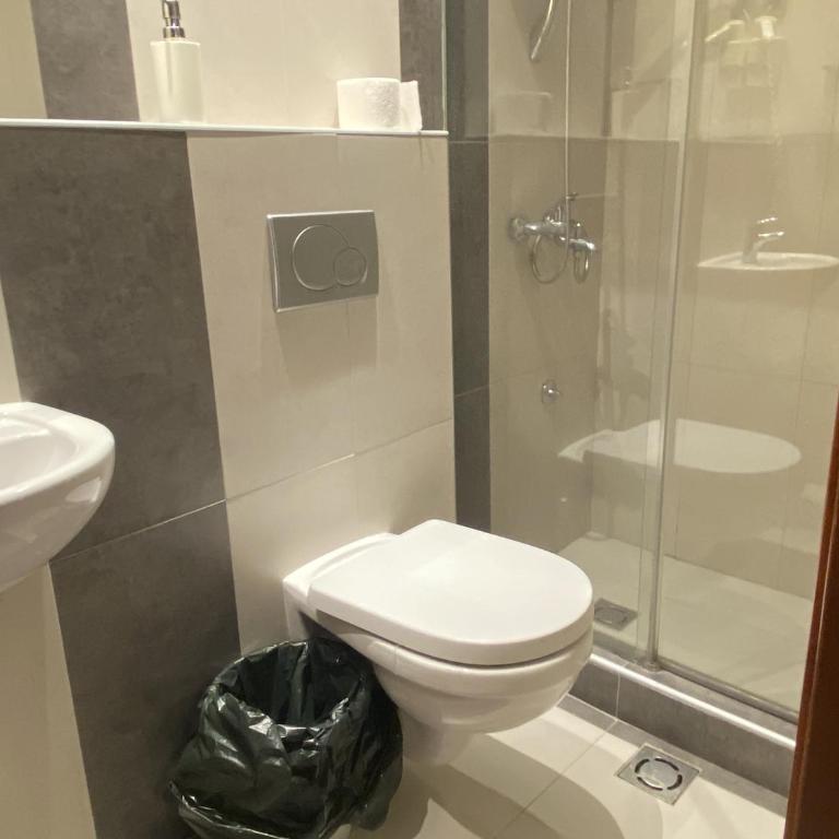 Vila Centar - Deluks Soba s Bračnim Krevetom i Pomoćnim Ležajem - 2