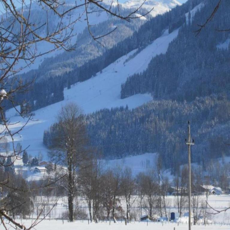 Studio in Kleinarl near Ski Amade Slopes - Apartment - 30