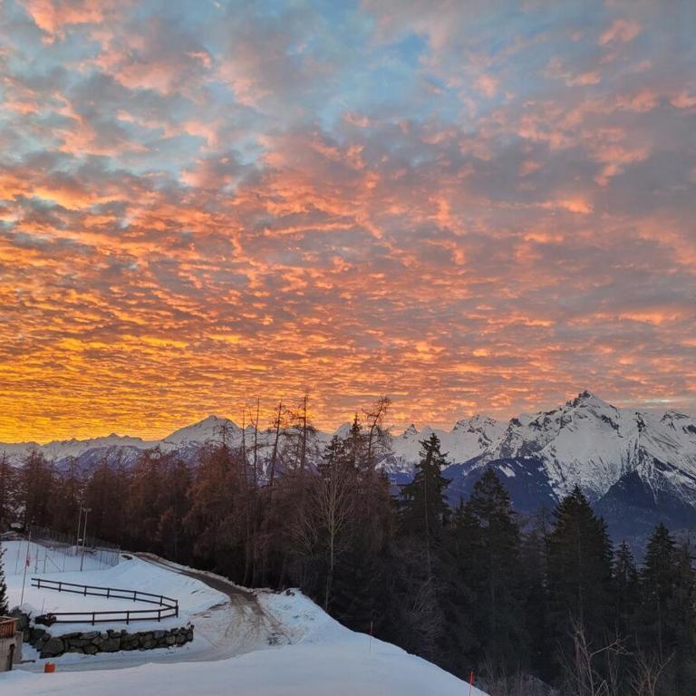 Penthouse on the Piste - Penthouse-Apartment - 42