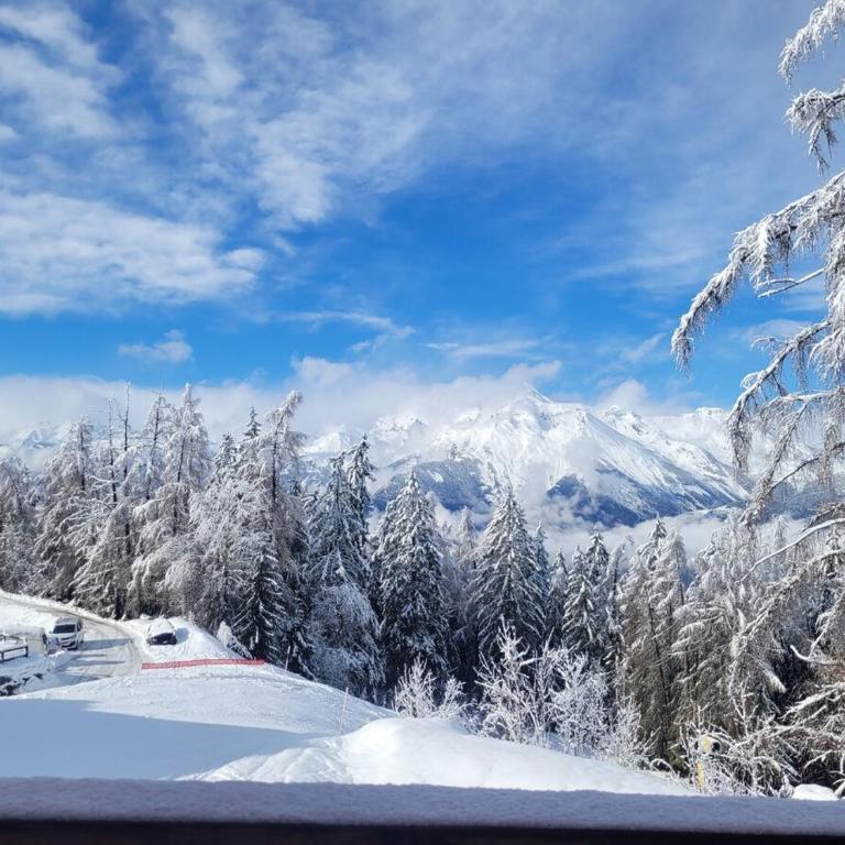 Penthouse on the Piste - Penthouse-Apartment - 5