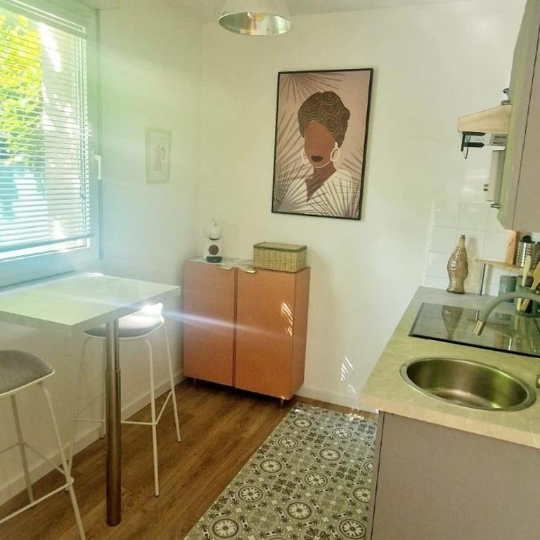 T1bis meublé cozy avec jardin et parking privé - One-Bedroom Apartment - 3