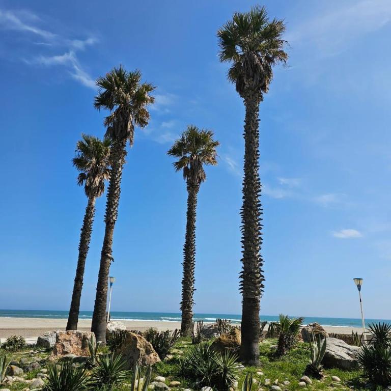 Grand sud - Appartement 2 Chambres - 15