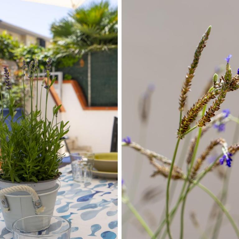Sogno di Mare - Casa Vacanze - 12