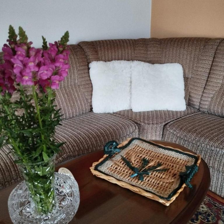 Apartman Petar - Apartman sa 2 Spavaće Sobe - 7
