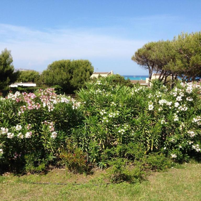 Punta d 'Elice 250mt dal mare - Appartamento Superior con 2 Camere da Letto - 8