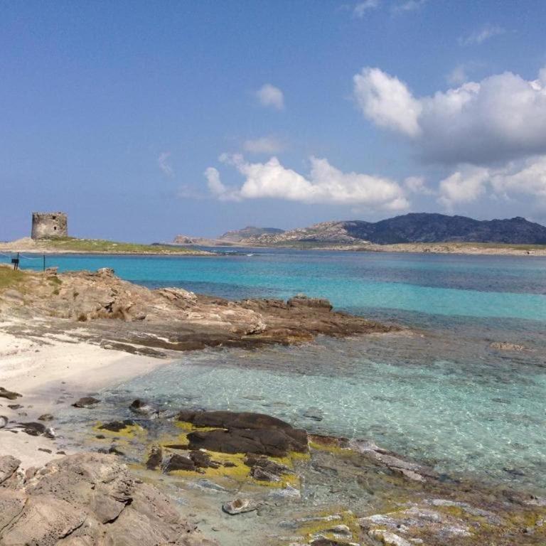 Punta d 'Elice 250mt dal mare - Appartamento Superior con 2 Camere da Letto - 19
