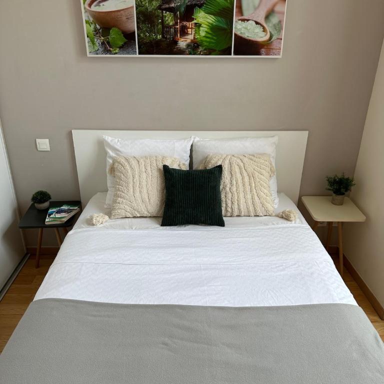Magnifique 2 pièces - Hyper centre Nice - Appartement 1 Chambre - 32