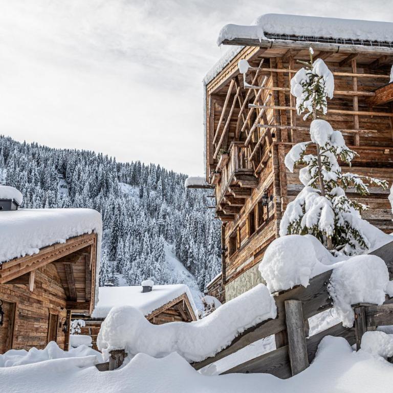 Prechtlgut - Chalet mit 1 Schlafzimmer - 2