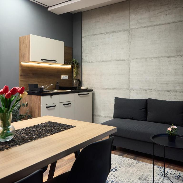 Downtown Boutique Apartments - Deluxe One-Bedroom Apartment - 2