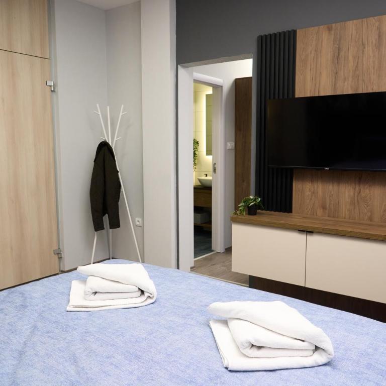 Downtown Boutique Apartments - Deluxe One-Bedroom Apartment - 8