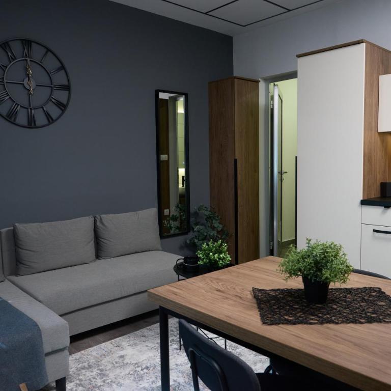 Downtown Boutique Apartments - Deluxe King Suite - 7