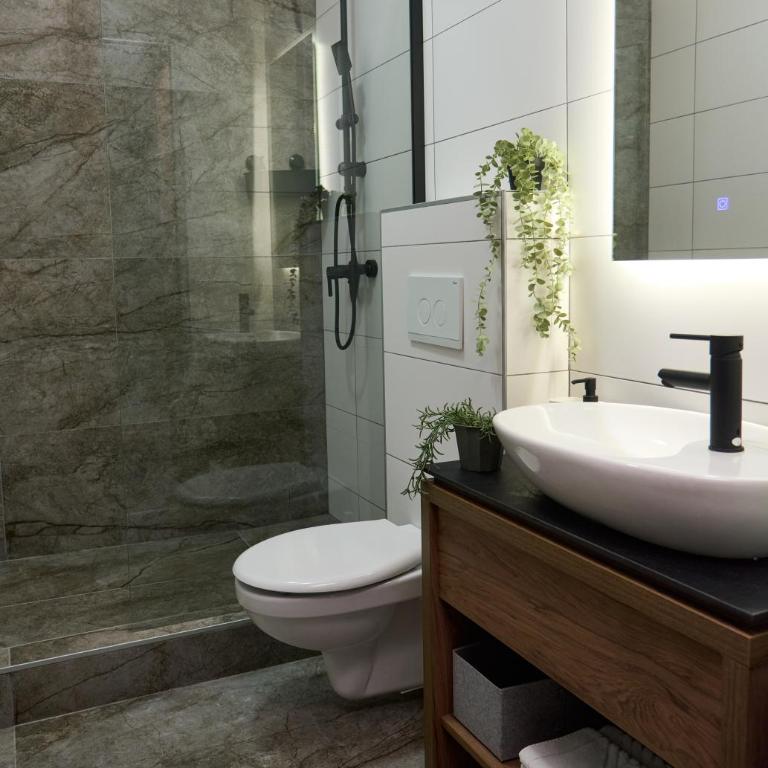 Downtown Boutique Apartments - Deluxe King Suite - 5