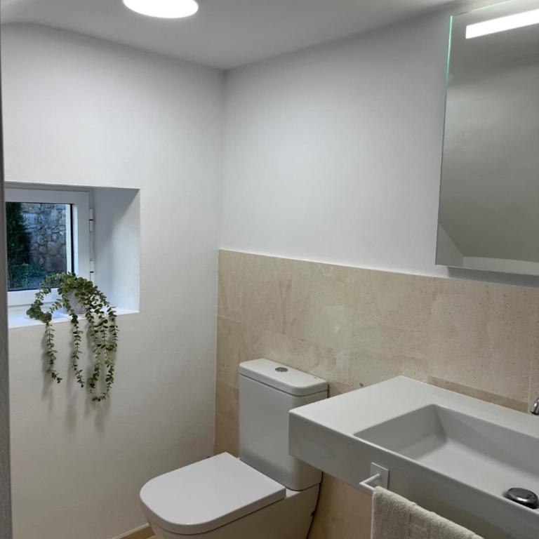 Casa con jardín y piscina en Córdoba - Casa de 4 dormitorios - 43