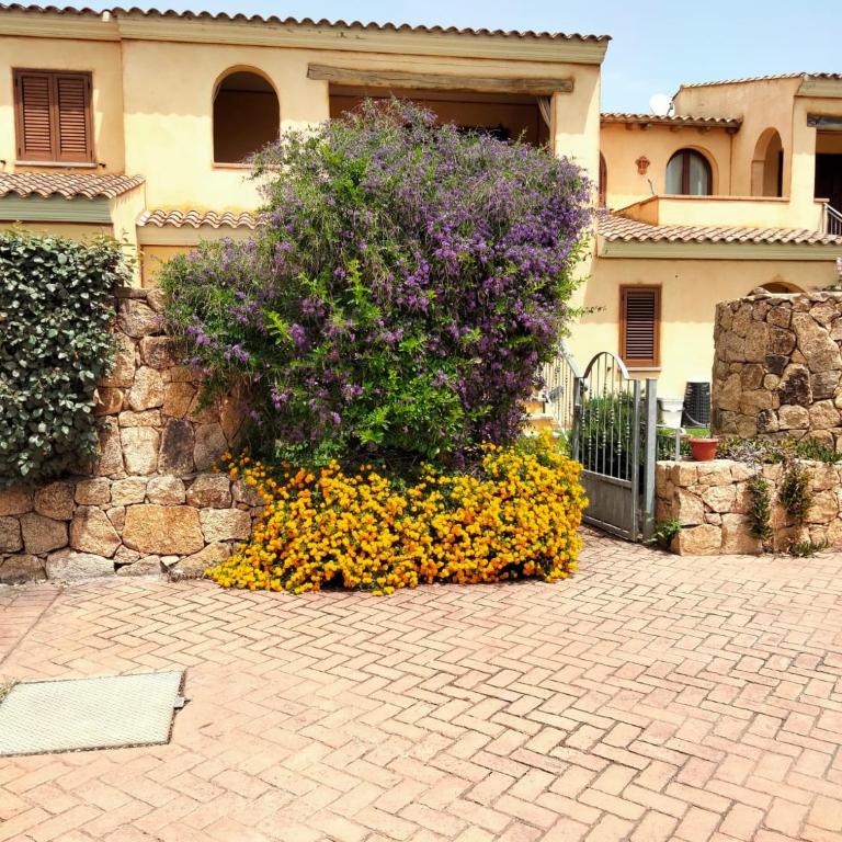 SanTeodoroHome - Casa con 2 Camere da Letto - 2