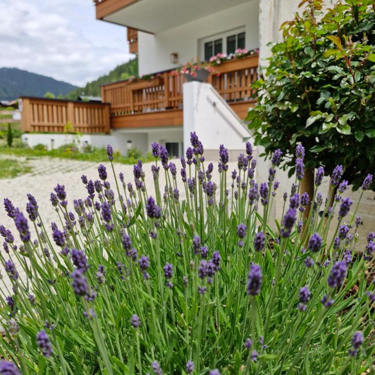 Feine Bleibe - Apartment mit 3 Schlafzimmern - 2