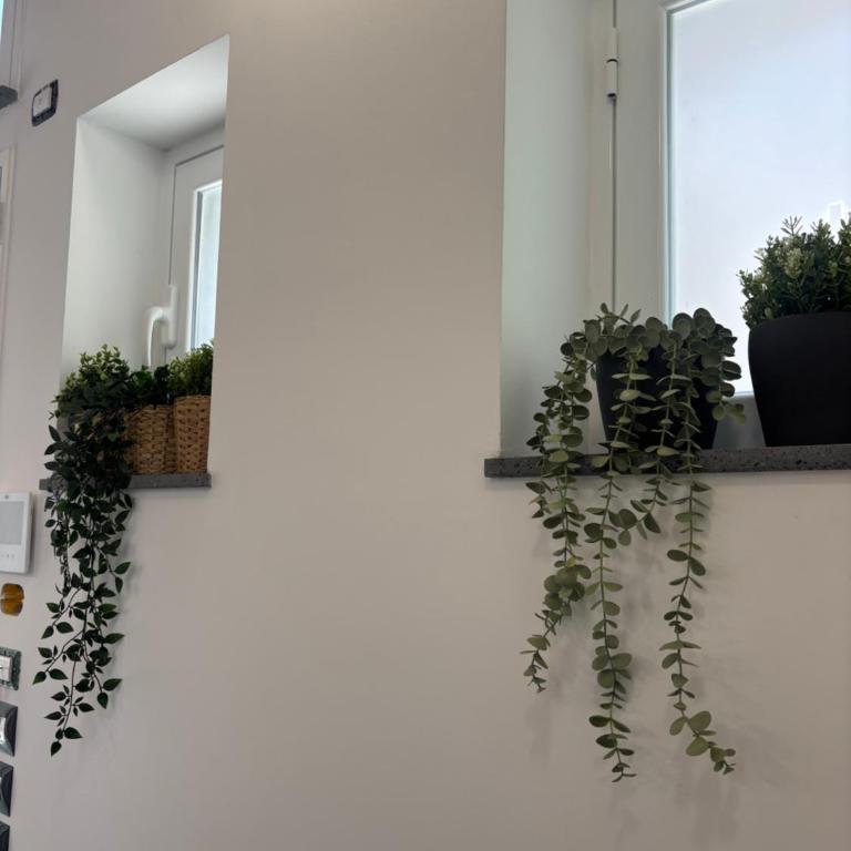Cortiletto Pavone A - Appartamento con 1 Camera da Letto - 9