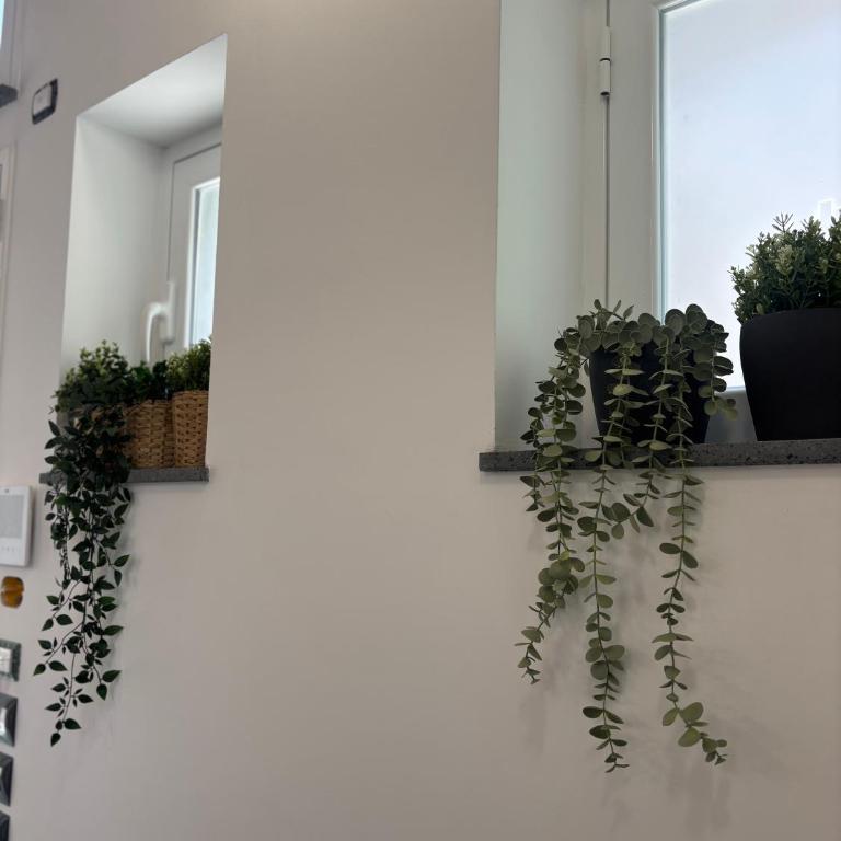 Cortiletto Pavone A - Appartamento con 1 Camera da Letto - 36