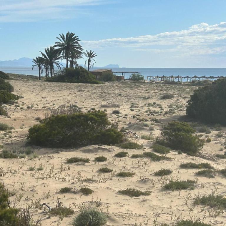 rentafive - Mi casita de la playa - Gran Alacant - Apartamento - 2 niveles - 46