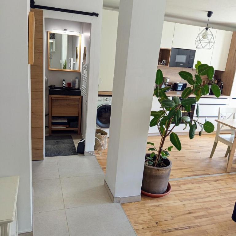 Appartement cozy à Annecy, avenue de Genève - Apartment mit 1 Schlafzimmer - 6
