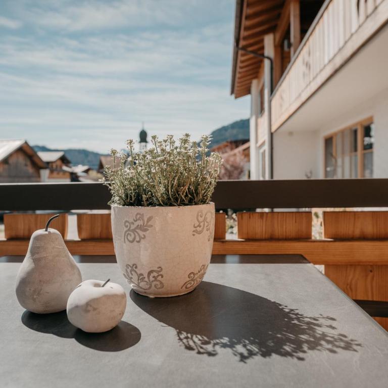Landhaus Mucha - Ferienwohnungen - Superior Apartment - 2