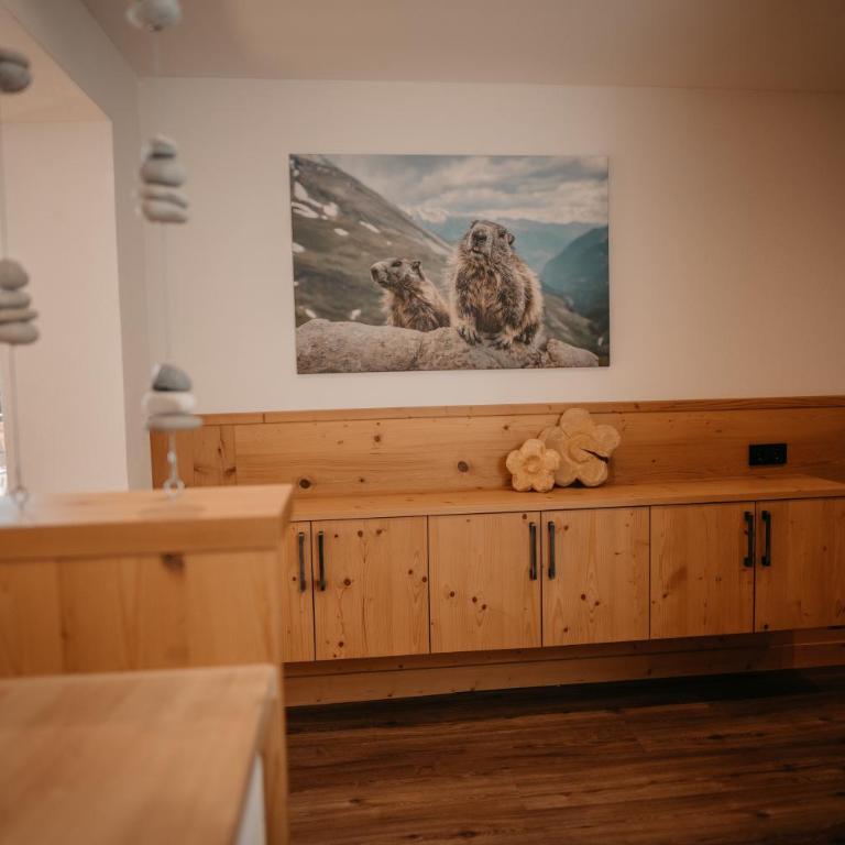 Landhaus Mucha - Ferienwohnungen - Superior Apartment - 7