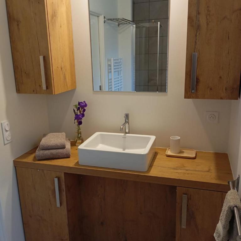 Amazing brand new 50 sqm flat - 5min from gondolas - Appartement 1 Chambre - 15
