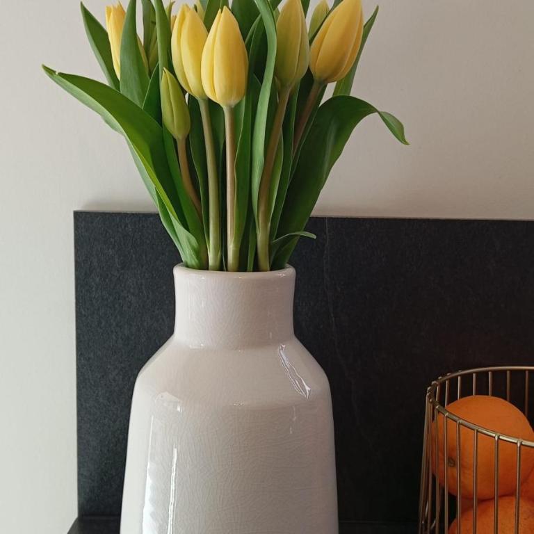 Amazing brand new 50 sqm flat - 5min from gondolas - Appartement 1 Chambre - 14