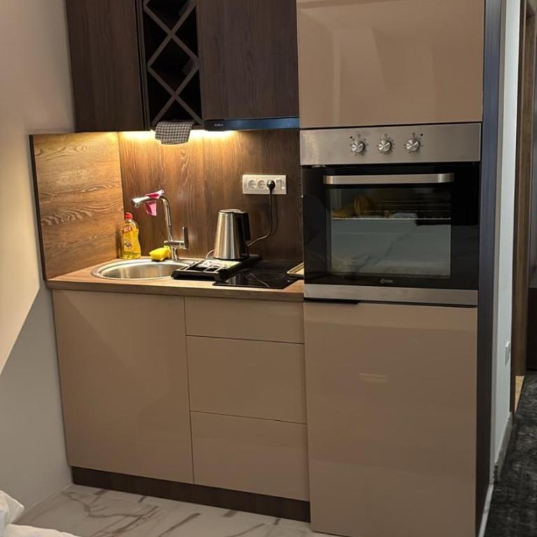 SkyNest 605 Apartment - Studio with Mountain View - 4
