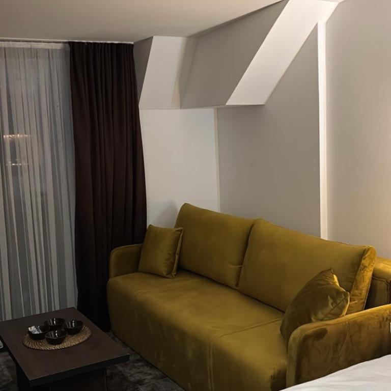 SkyNest 605 Apartment - Studio with Mountain View - 6