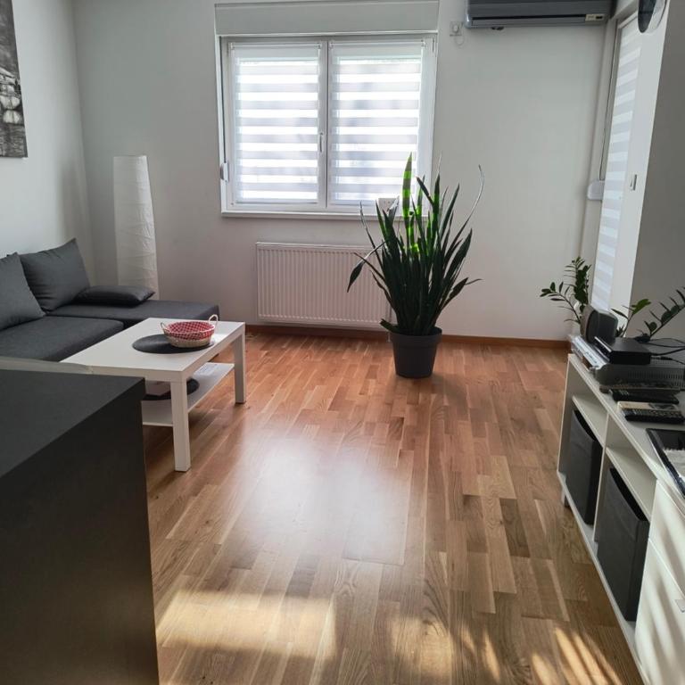 Miyaki Apartment - One-Bedroom Apartment - 7