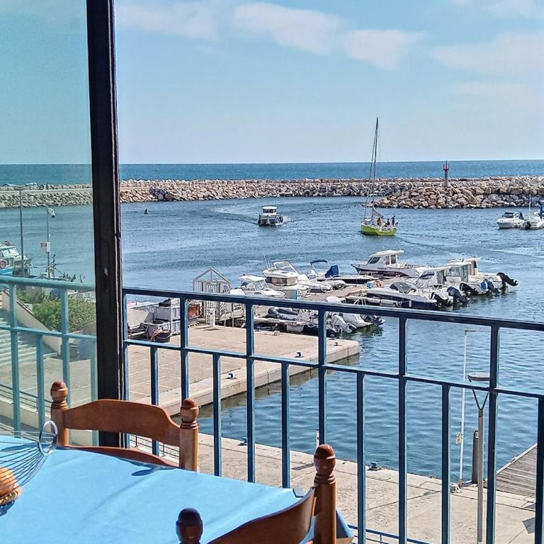 Studio Vue magique pleine mer, port, cap Béar, Racou, Climatisé - Studio - Vue sur Mer - 17
