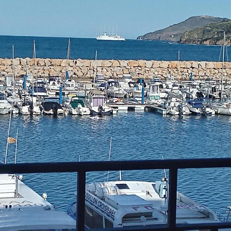 Studio Vue magique pleine mer, port, cap Béar, Racou, Climatisé - Studio - Vue sur Mer - 34