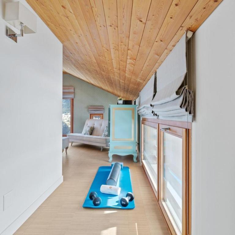 Tigers Nest In Swiss Alps - Villa con 5 Camere da Letto - 13