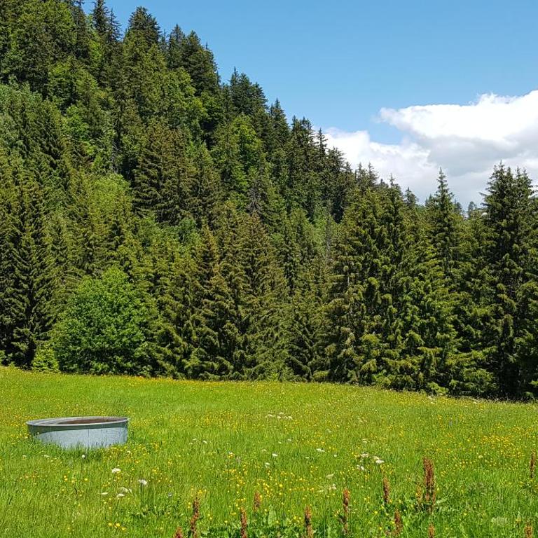 chalet cosy, jacuzzi privé, calme, idéal moto rando vélo - Maison 2 Chambres - 49