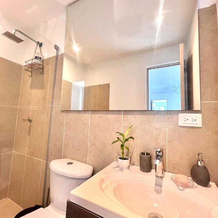 apartamento prodis 3A - Apartamento de 1 dormitorio - 3